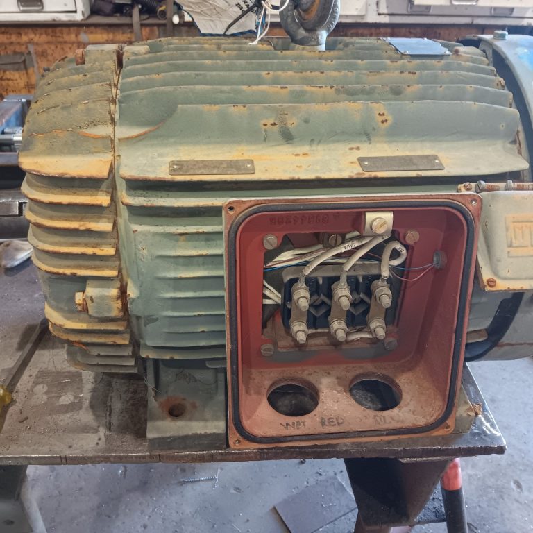 WEG 22kw 6 pole electric motor 002
