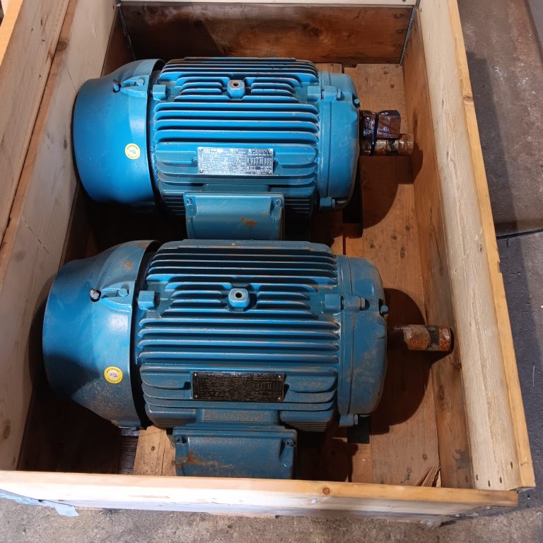 weg 22kw 4 pole electric motor 002